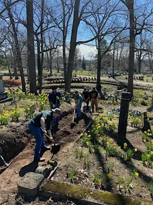 Planting and restoration at the Daffodil Project