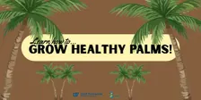 How to Grow Healthy Palms!