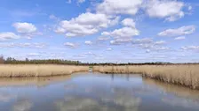 Walk and Chill Rijkerswoerdse plassen