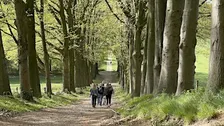 Social & Step Arnhem met de Walk Club