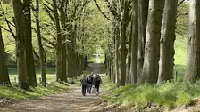 Social & Step Arnhem met de Walk Club