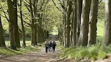Social & Step Arnhem met de Walk Club