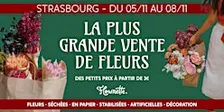 POP UP FLOWRETTE // STRASBOURG #4