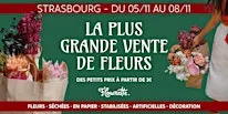 POP UP FLOWRETTE // STRASBOURG #4