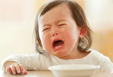 The Terrible Two : Understanding and Supporting Your Child with Care