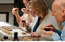 Lelea's Olive Oil Tasting & Autumn Table