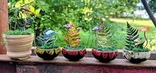 Copper class - Mushroom garden at The Vineyard at Hershey