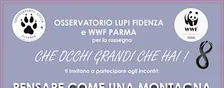 Che occhi grandi che hai - "Pensare come una montagna"