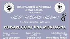 Che occhi grandi che hai - "Pensare come una montagna"