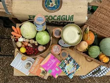 Fermenting Through the Seasons