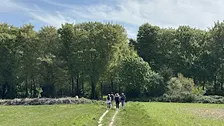 Social & Stroll Veluwe (Ede/Bennekom) met de Walk Club