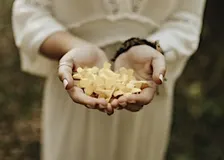 Forest Bathing: Harmonizing with the Seasons