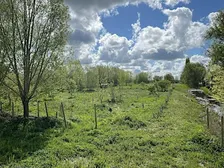 Van Vogelparadijs De Groene Jonker naar Voedselbos Bloeiende Landen