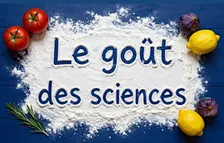 Le goût des sciences ! Fête de la science 2026