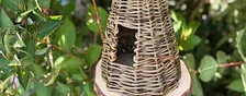 Weave a birdhouse from willow with Jasmine Fassenfelt