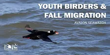 Youth Birders and Fall Migration: Avalon Seawatch
