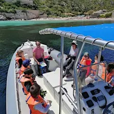 Balade en bateau : découverte de l'histoire de la peste à Marseille
