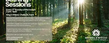 Forest Bathing+ Session - King's Wood, Challock