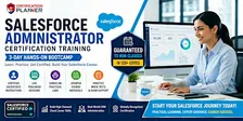 Salesforce Administrator Training in Memphis with Trailhead and Practicals