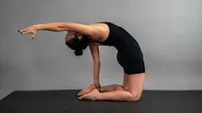 Tuesday Lab | Pilates + Yoga Fusion Teacher Training