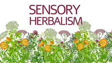 Sensory Plant Medicine Morning