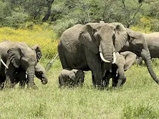 Through the Lens of Tanzania