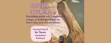 OlieWijs Experience