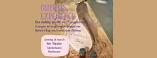 OlieWijs Experience