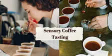 Coffee Tasting Experience with Kaphy – Coffee Workshop in Arlington, VA