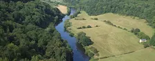 Conservation, culture and education in the Forest