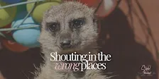 Shouting in the Wrong Places -  Marketing & PR Workshop