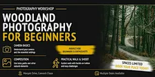 Woodland Photography for Beginners