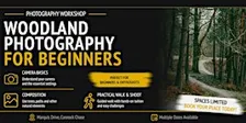 Woodland Photography for Beginners