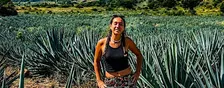 Distillerie de Tequila & Cantaritos El Güero, tour d’une journée complète d