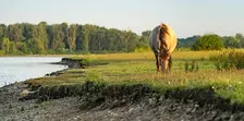 Ontdek 'De Groene Rivier'