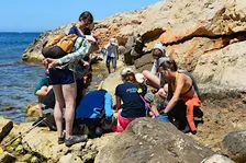 Atelier de sciences participatives : découverte des espèces du littoral