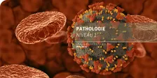 Pathologie niveau 1