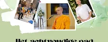 Meditatiedag “Het achtvoudige pad”