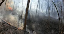 Brown County Prescribed Burn Association Interest Meeting