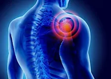 Shoulder Pain Workshop