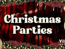 Christmas Party Night with Live Singer at Village Swansea