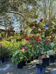 2026 Naples Yard and Garden Show