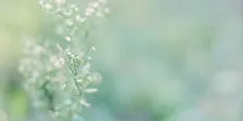 Reclaiming Your Strengths as a Highly Sensitive Person