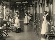 Asylums and Mental Health