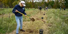Fall Tree Planting