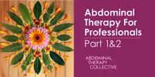 Abdominaltherapie für Praktiker:innen Teil 1&2