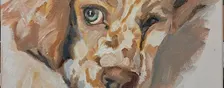 Capturing the Spirit - Animal Painting