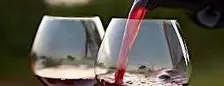 Pinot Noir