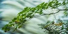 Master Your Camera Controls - Photography Class
