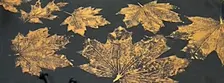 Leaf Print Tote Bag Workshop